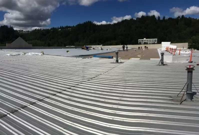 Cougar Construction and Roofing Images